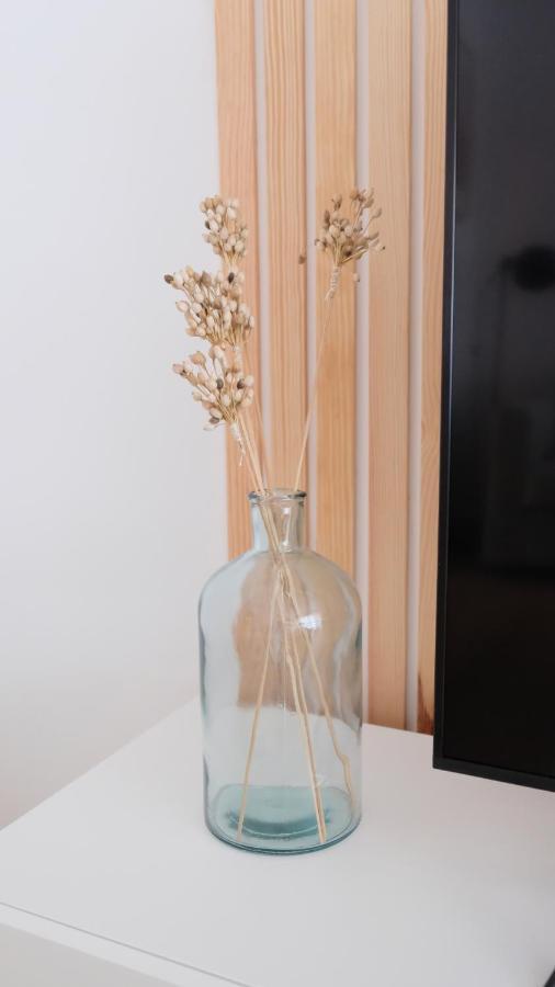 Peniche Supertubos Terrace Apartment ภายนอก รูปภาพ