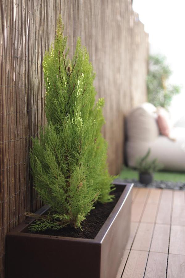 Peniche Supertubos Terrace Apartment ภายนอก รูปภาพ